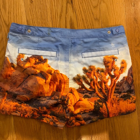Graphic Desert Penguin Swimming Shorts - Picture 4 of 4